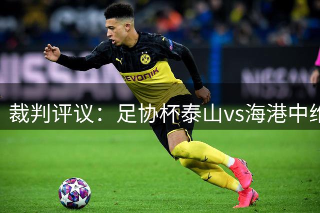 裁判评议：足协杯泰山vs海港中维塔尔防守合理，不判点球正确